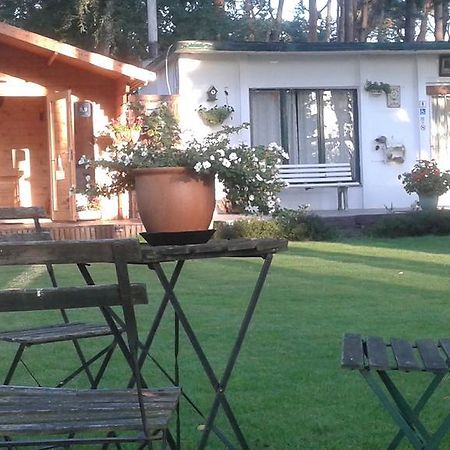 Helpende Hand Villa Oelegem Exterior foto